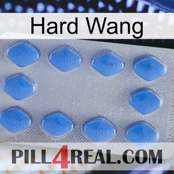 Hard Wang 21.jpg